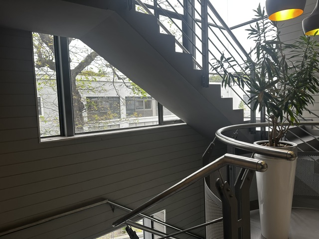 To Let Commercial Property for Rent in Newlands Western Cape